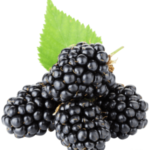 Kupina 1 kg