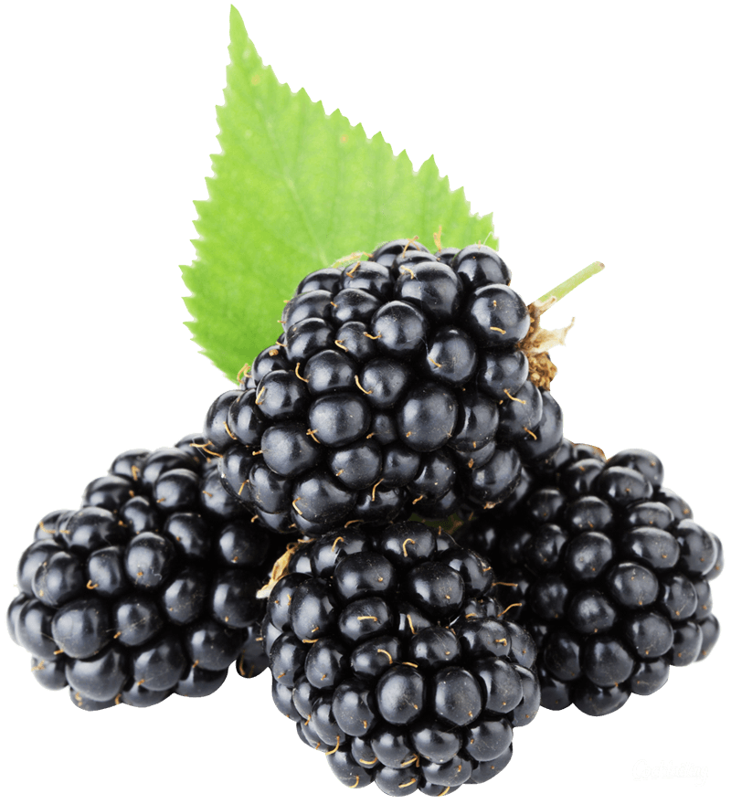 Kupina 1 kg